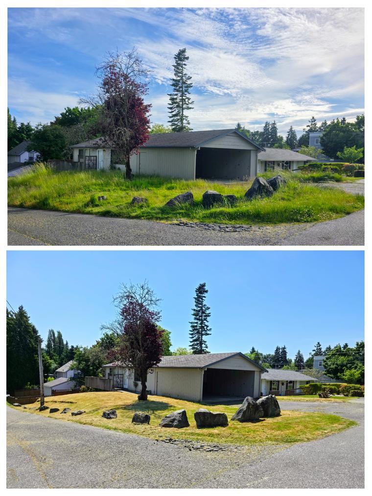 Before and after: Overgrown corner lot - mowed and cleaned at Birch Bay Village in Blaine, WA