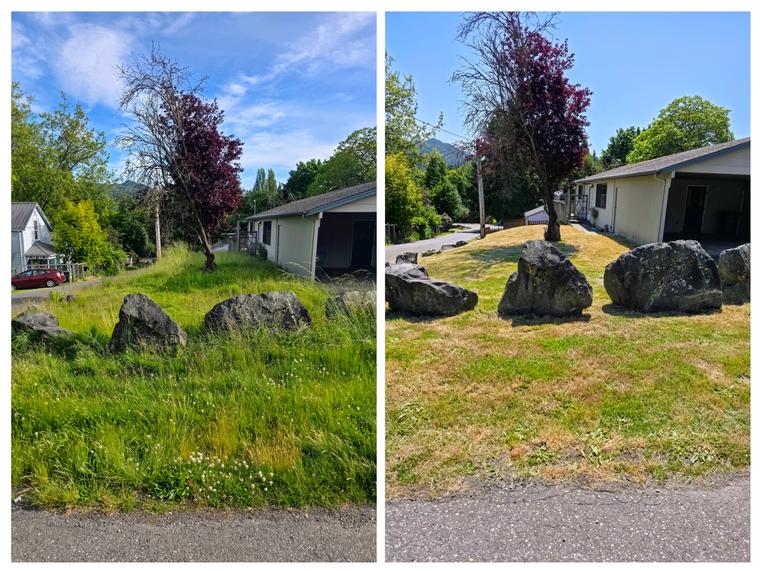 Before and after: Tall grass around landscape boulders - cut back at Birch Bay Village in Blaine, WA