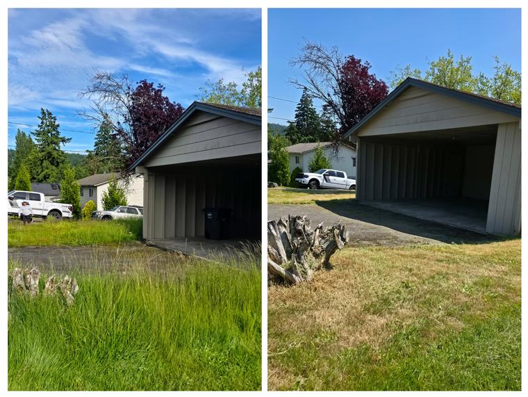 Before and after: Carport and side yard - tall grass cleared at Birch Bay Village in Blaine, WA
