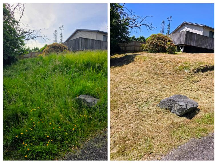 Before and after: Backyard slope - brought back under control at Birch Bay Village in Blaine, WA