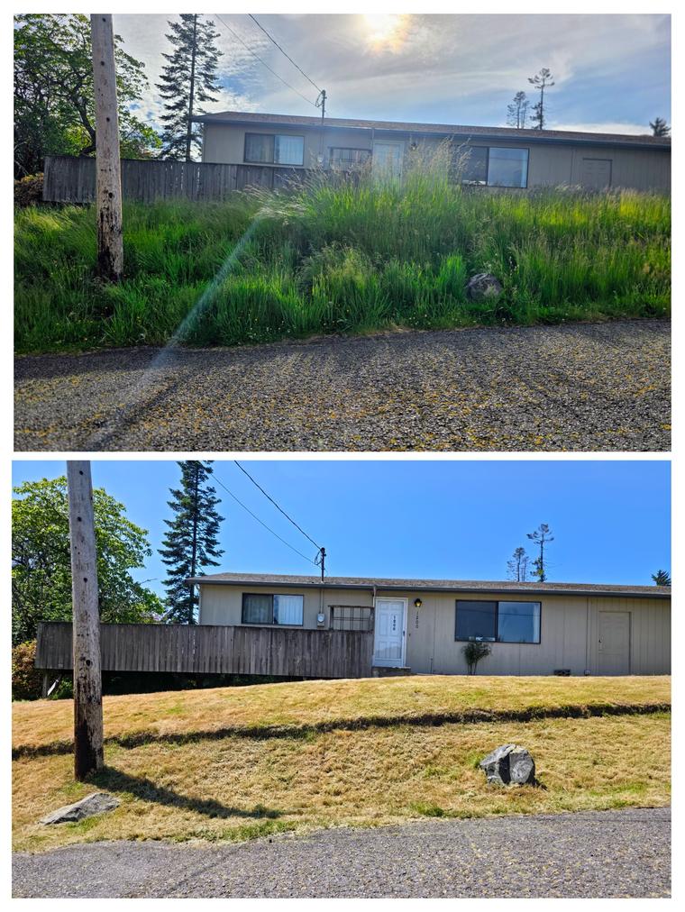 Before and after: Front yard - waist-high grass cleared at Birch Bay Village in Blaine, WA