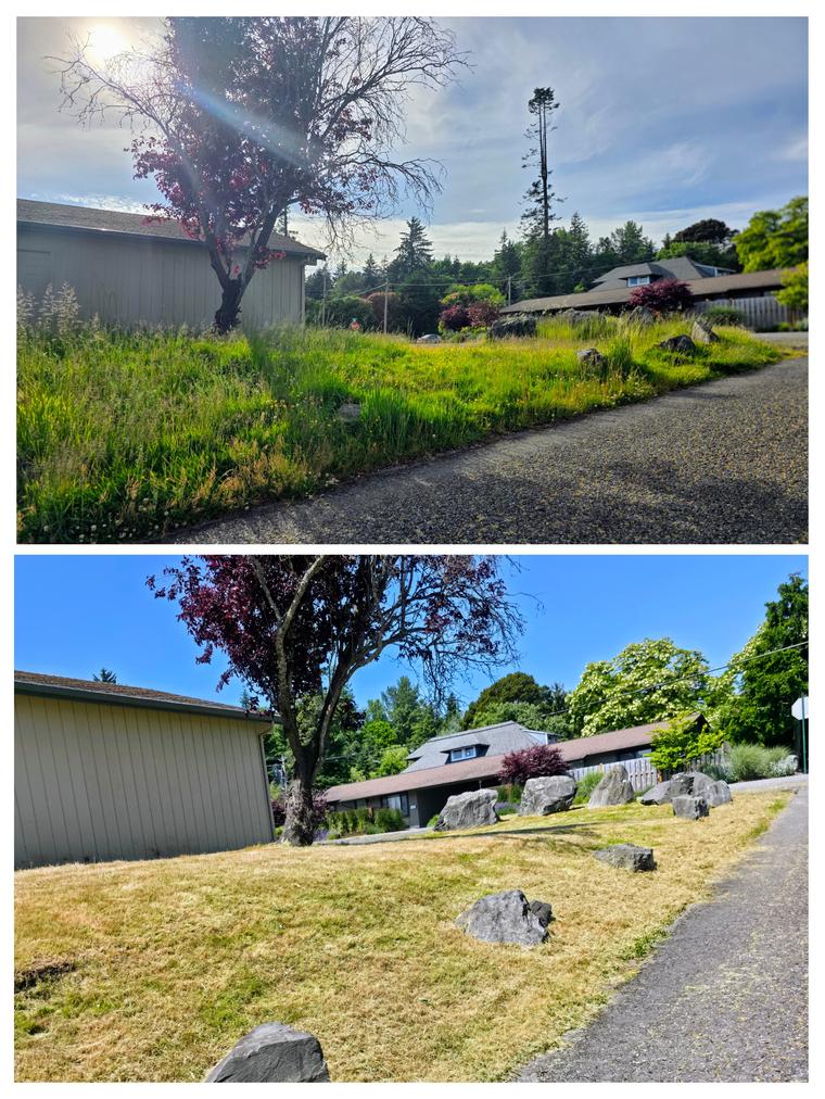 Before and after: Front corner - mowed around tree and rock bed at Birch Bay Village in Blaine, WA