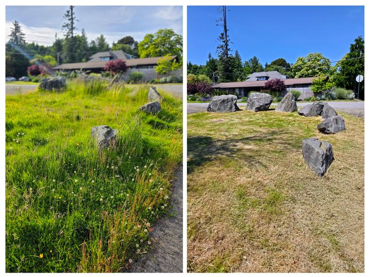 Before and after: Boulder feature - fully mowed and tidied at Birch Bay Village in Blaine, WA